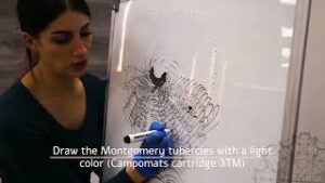 tatuaggio ricostruzione areola